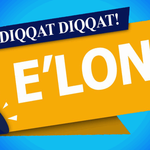 elon-bg-e1733223835461-1-850×480